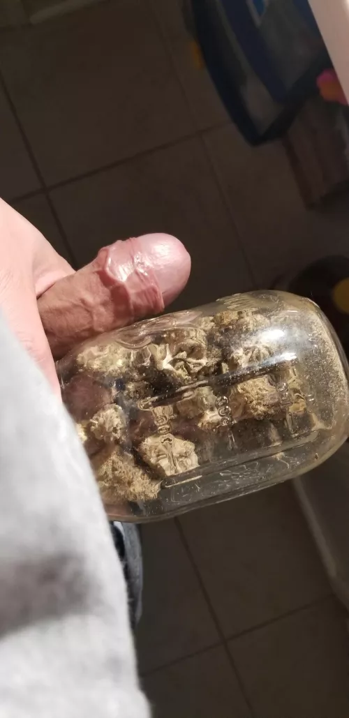 [m] night cap by 420TZ