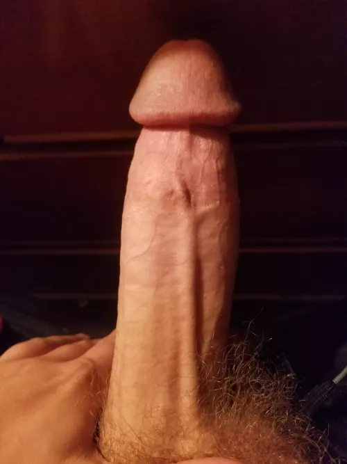 M19 ?/10 by Monkey_Man42