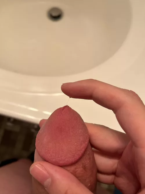 M19 Dainty string DMs open by TeenLoveMilf