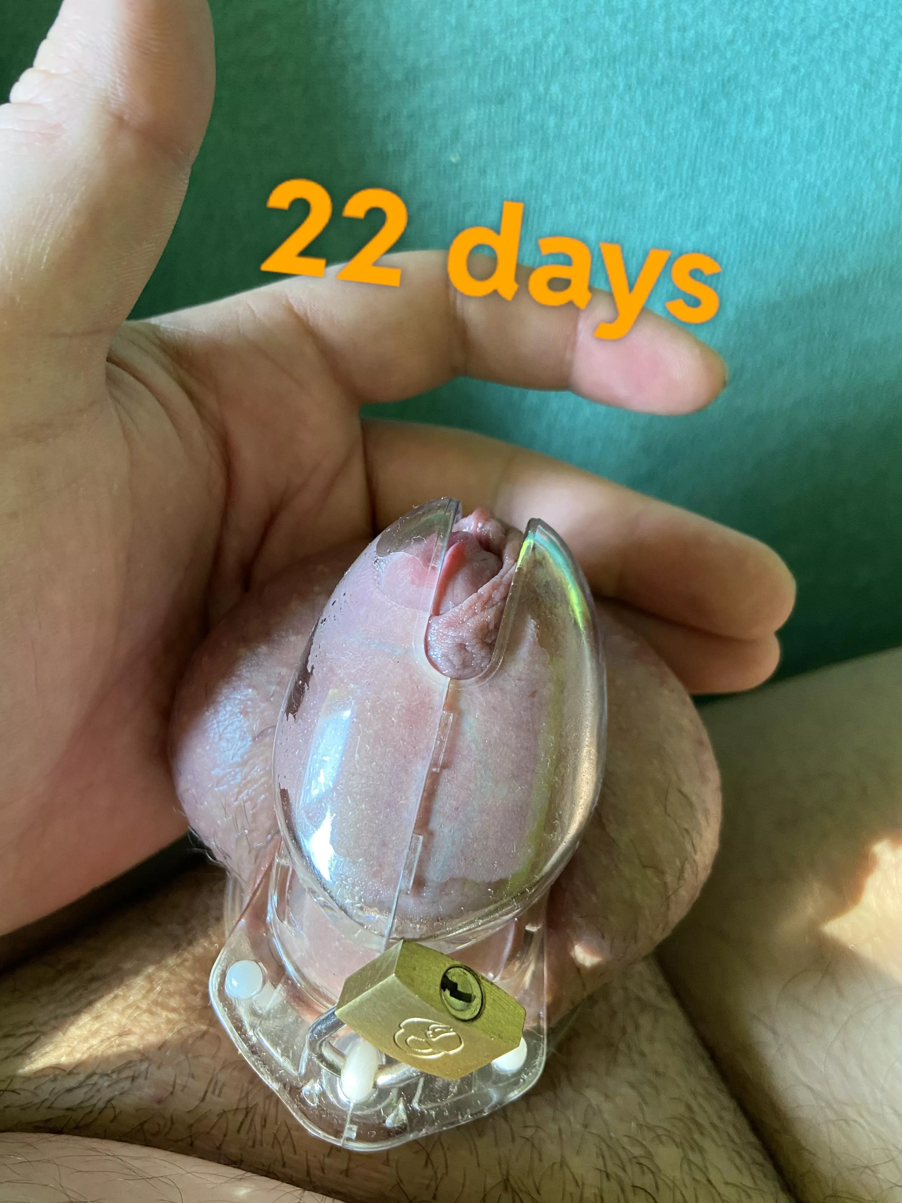 [M20] I'm a virgin. my balls are full. my neighbor found out I was locking now guarding my keys. some advice? posted by AdPossible4559