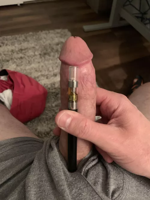 (m28) anyone care for indica? by scooterinthecooter