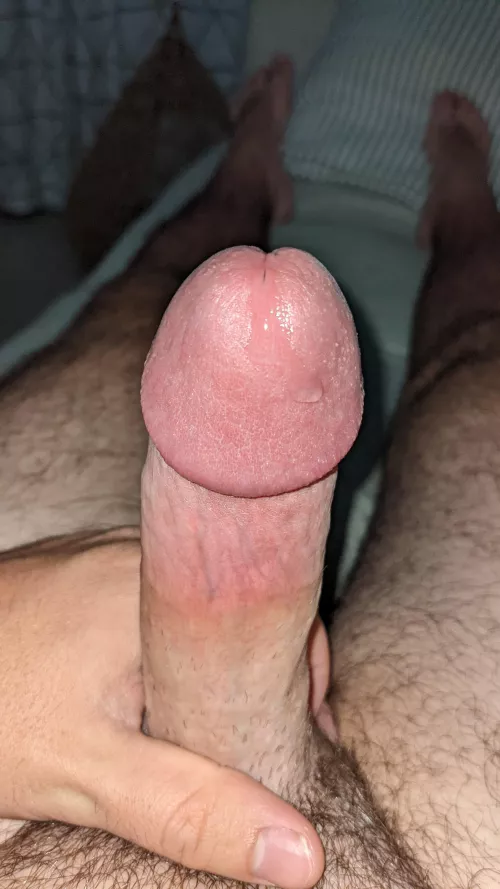 (M29) I didn't cum all weekend, I could just burst! by mittenman223