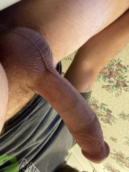 M4F looking for pics and vids trade by Jonadam2022