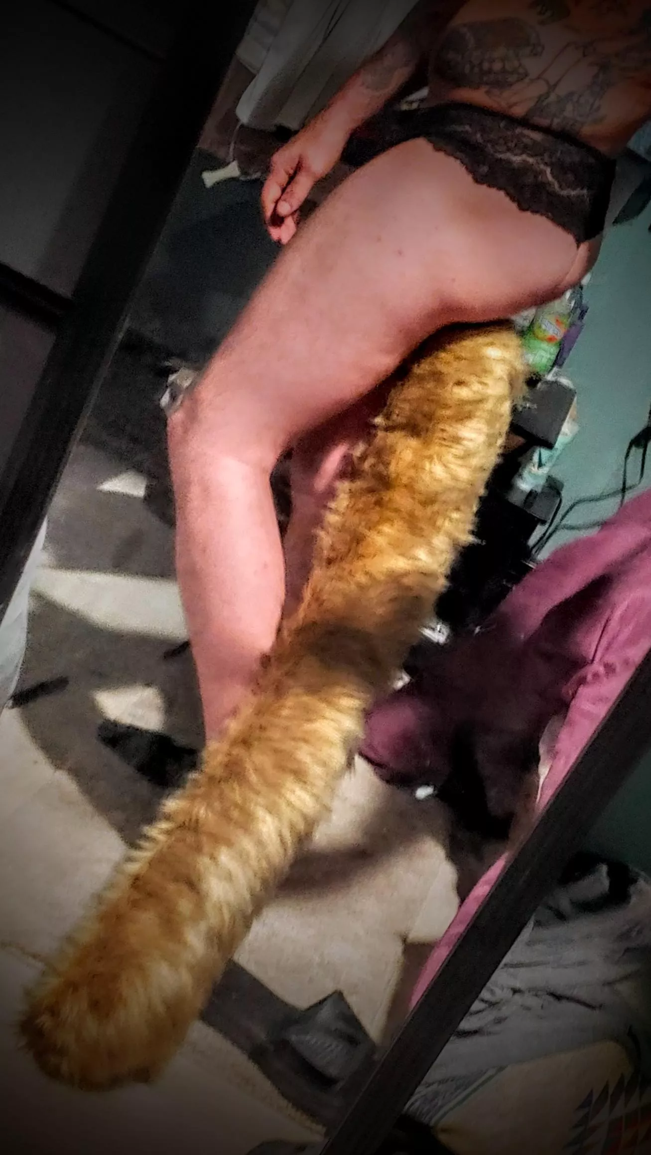 made my first floor dragger 🦊💯😍 posted by tailzplug