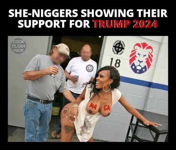 Make America WHITE Again by novin_punheteiro2