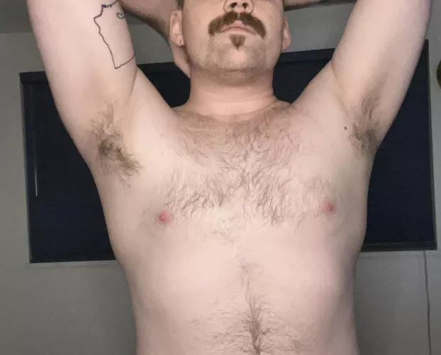 Make sure you give them both attention by GreysonSnake