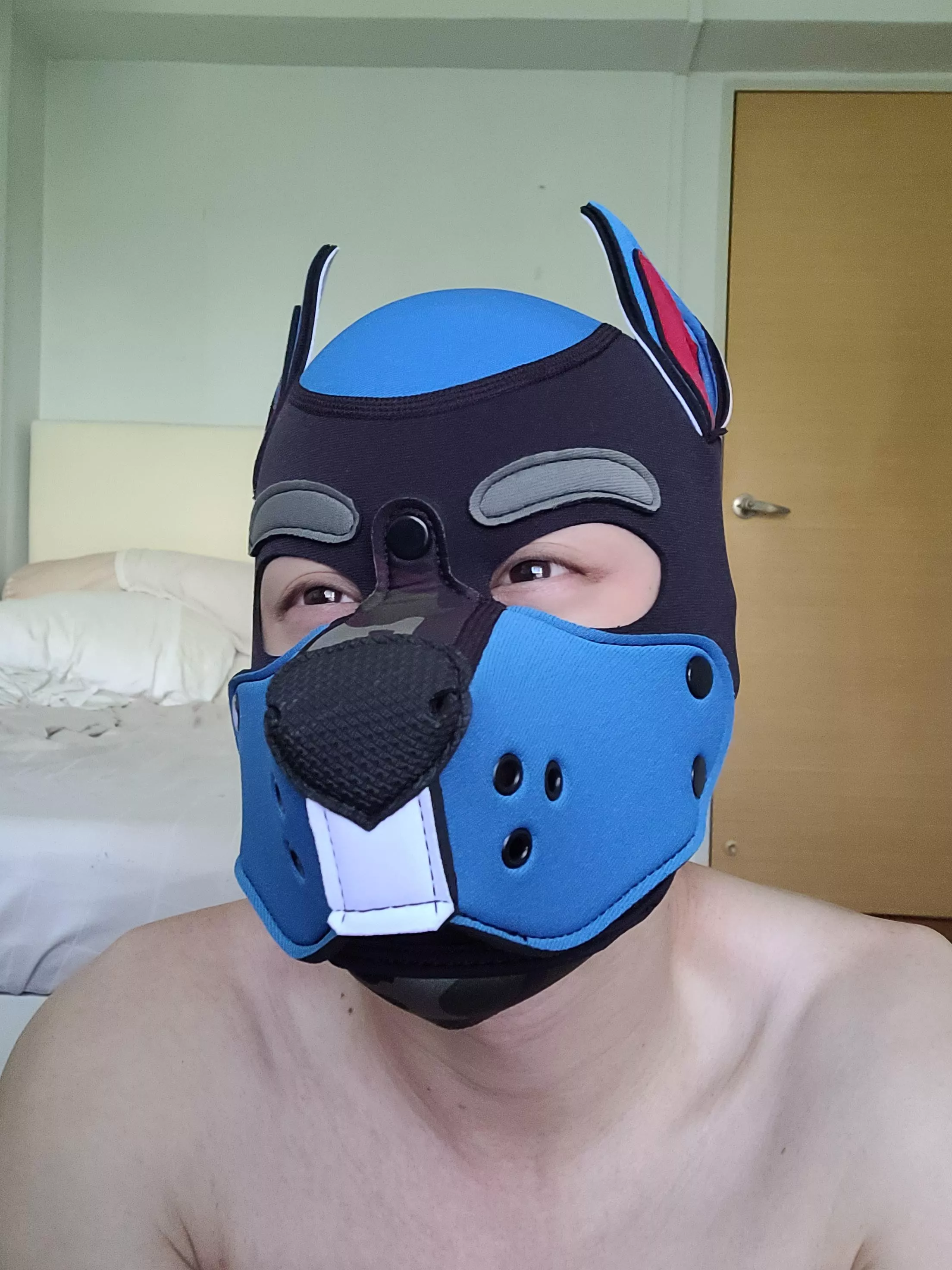 Mako wishes you a wonderful pride! posted by CutlassJimBreakman