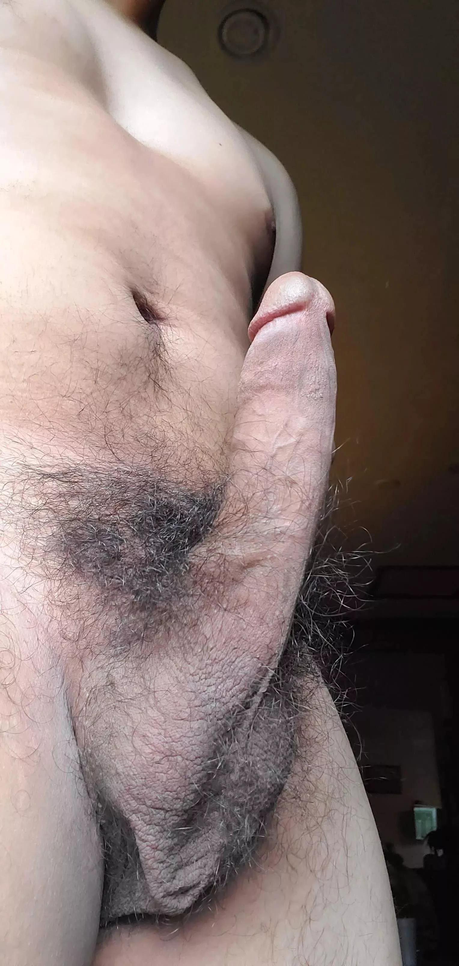 male pubes I think I got a f ew posted by Tight-Surprise4831