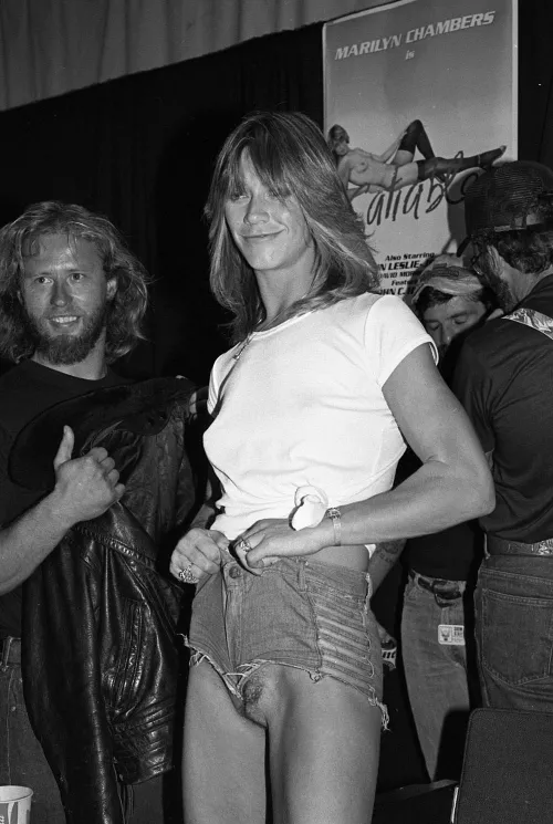 Marilyn Chambers 1970's by Decent-Confidence268