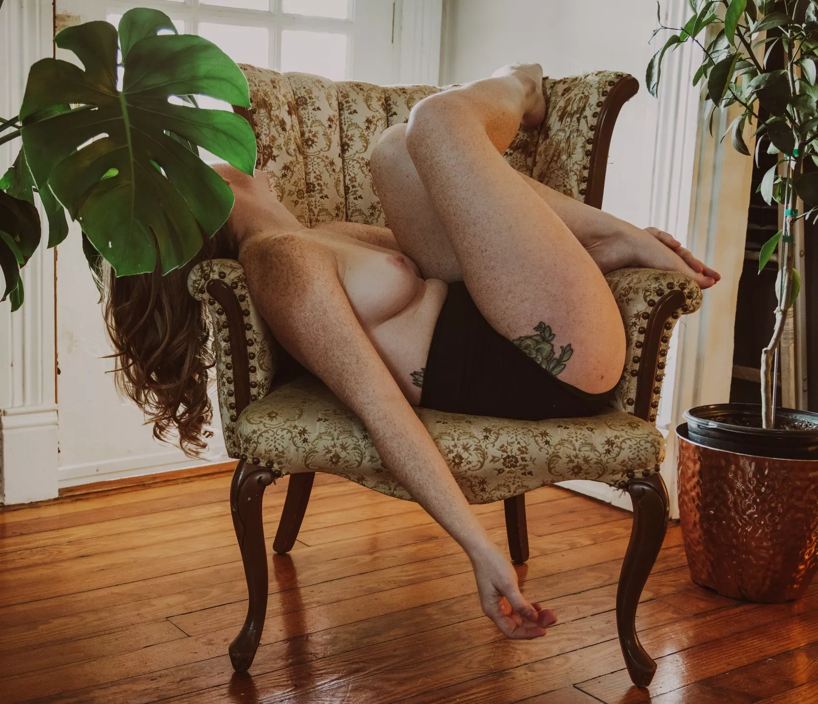 Marvelous monstera in a mellow mid-week mood. posted by frecksfordays