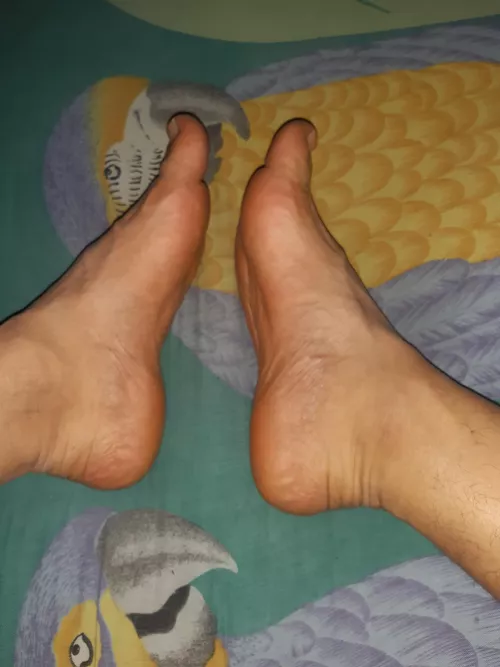 may I could use your face as a foot rest by chwa77