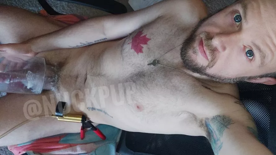 m-balls/cock - gotta get back into the habit of near daily pumping by nuckpup