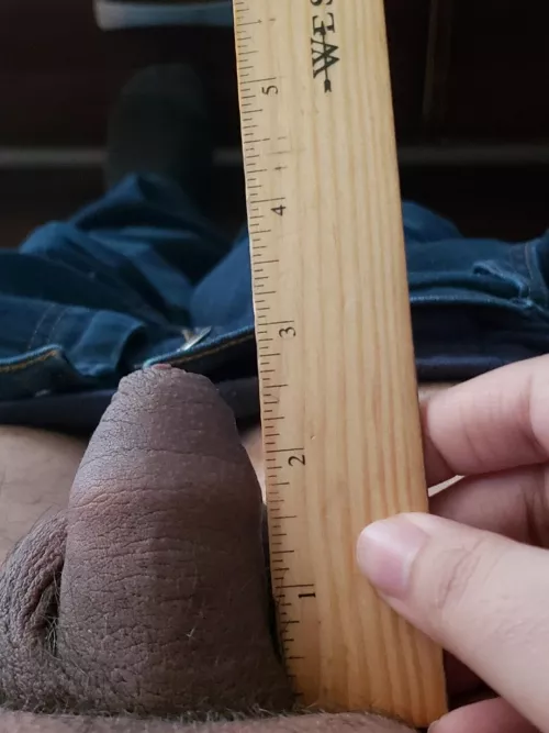 me against ruler. by orion_paxif