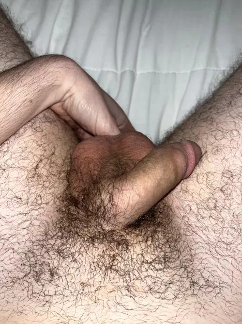 me, my bush, my softie, and me fingering my ass. enjoy :) by SackHarlow