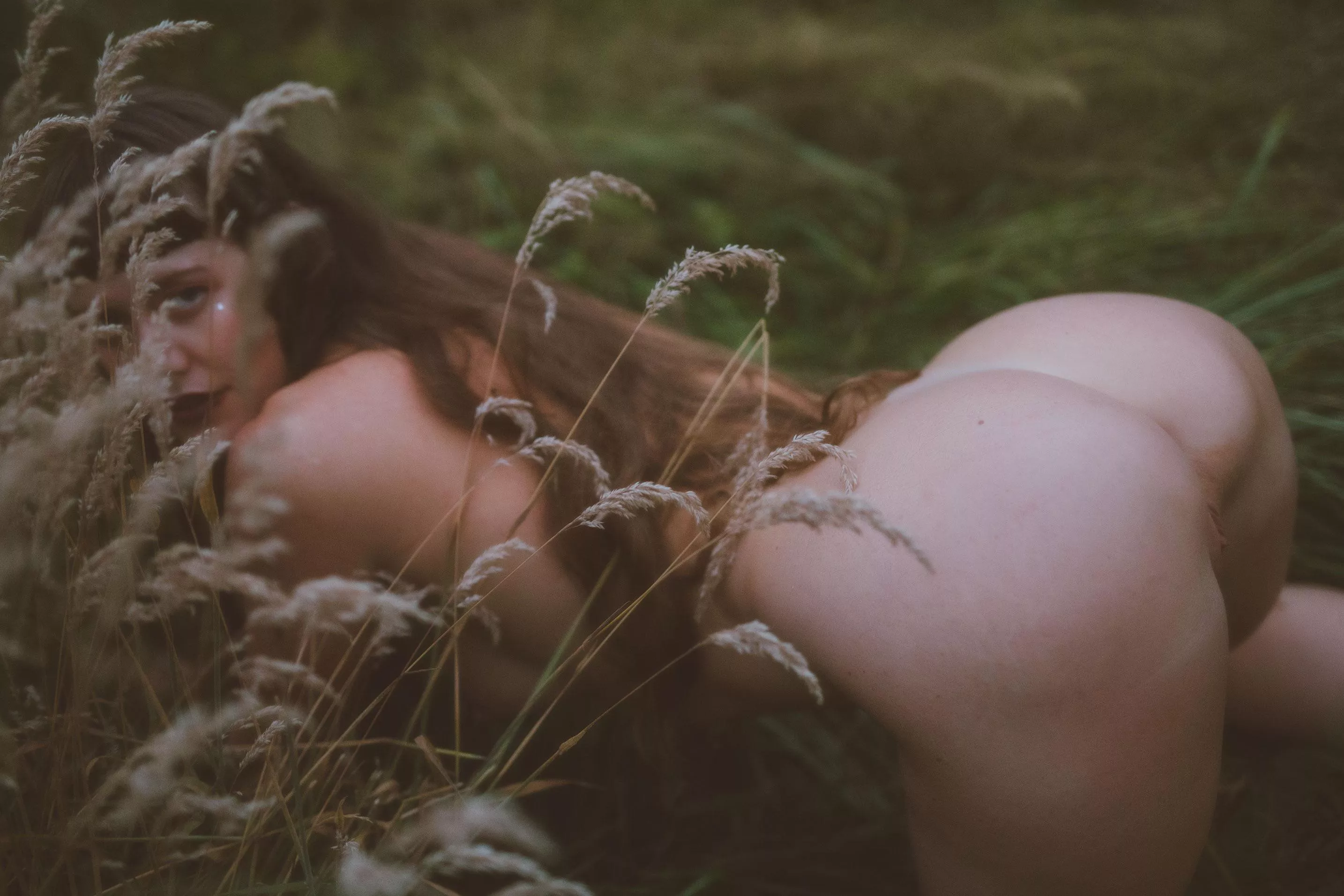 meadow nymph posted by jewelsbreakstherules