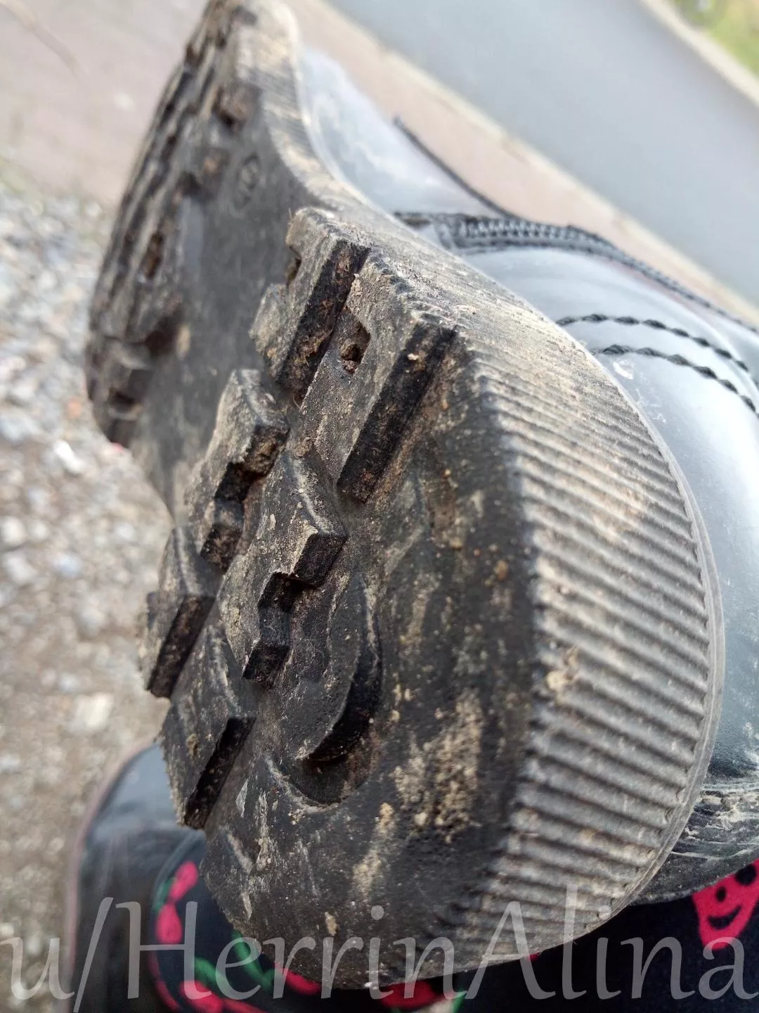 meal is ready posted by HerrinAlina