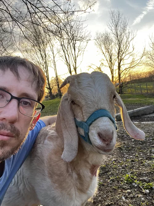 Meet Fritz ! by OhBixch