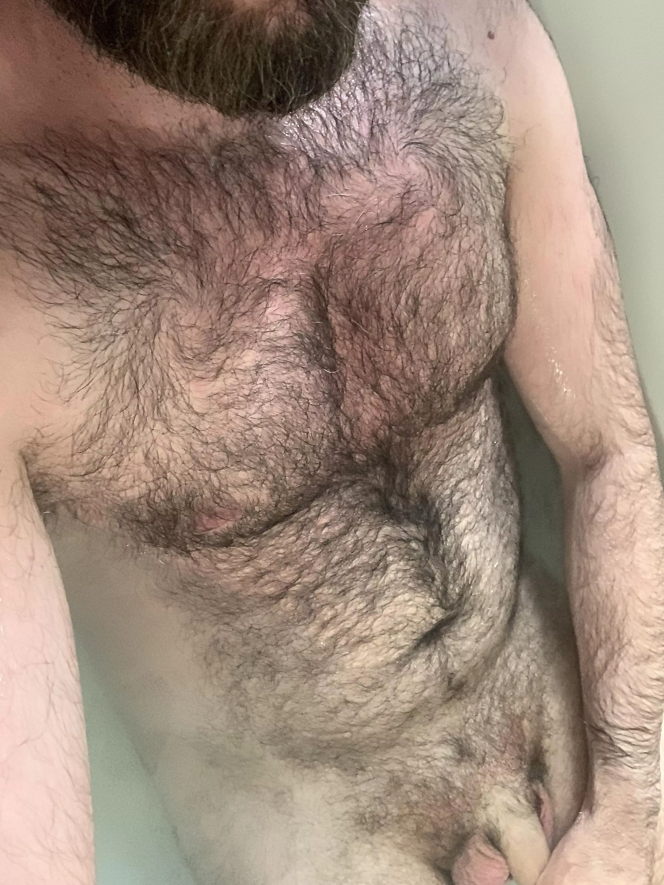 Meh, Covid finally got me. Feel like crap. posted by Hairy-Dude