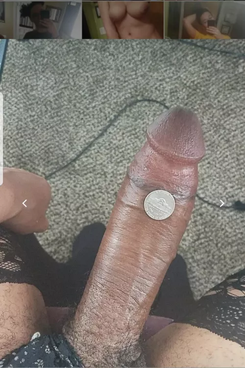 Melody Monae big dick queen by jonp2010