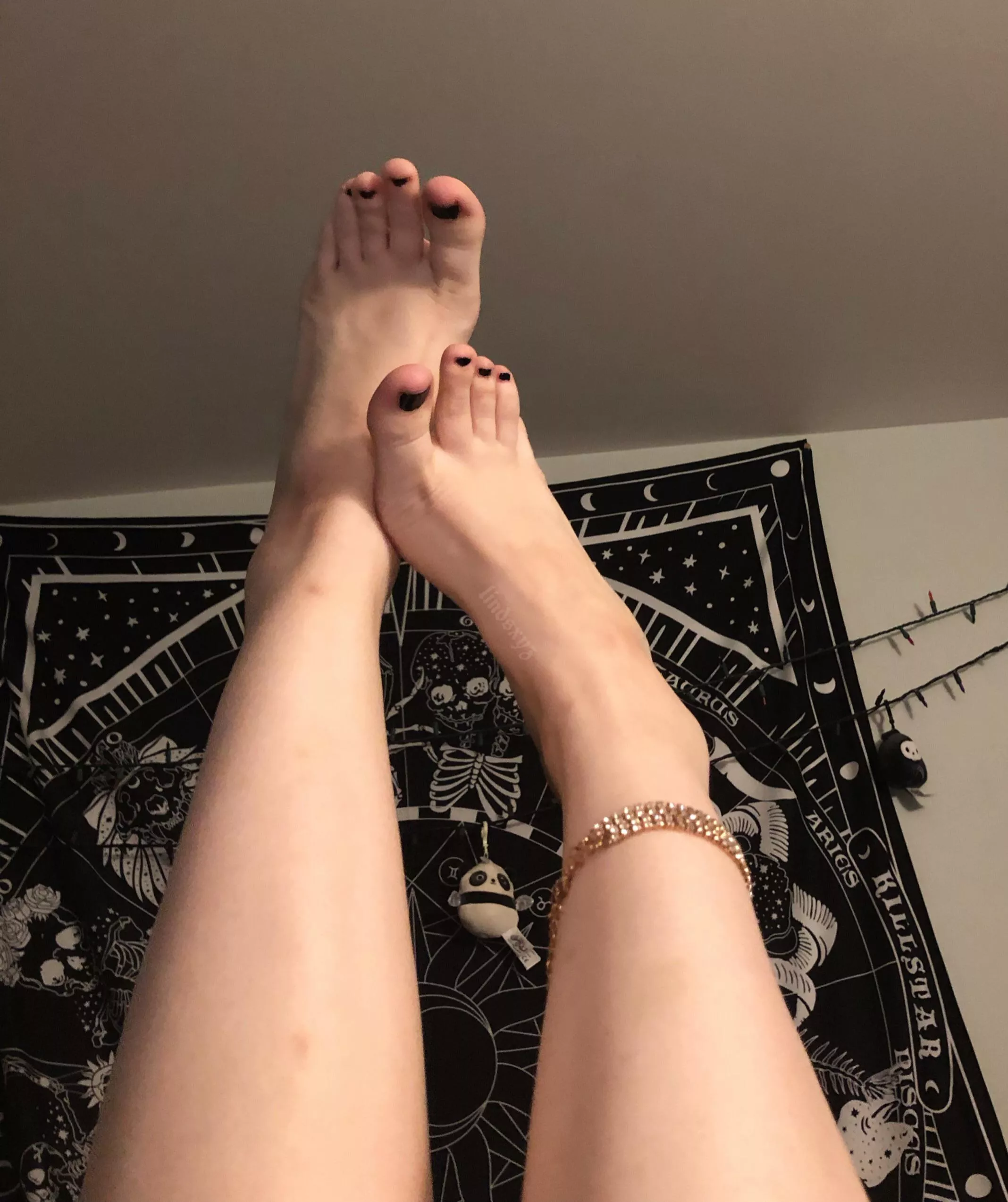 meow posted by lindsxy