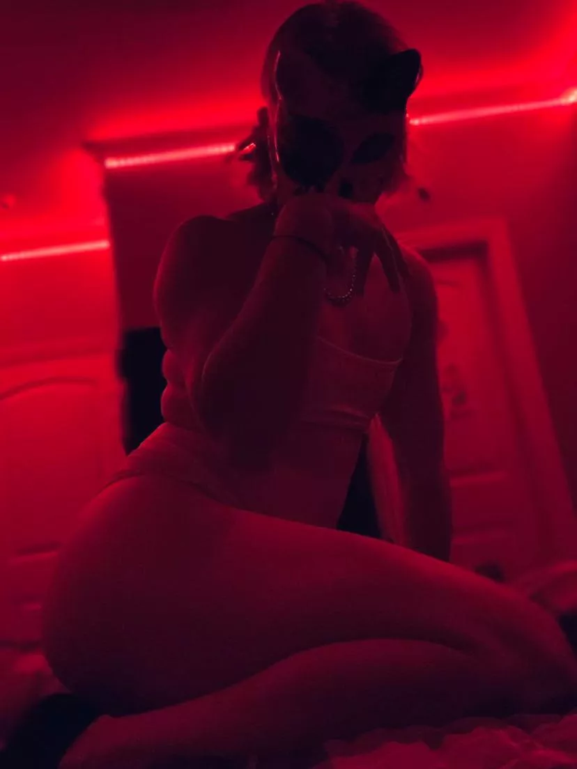 Meow~ posted by Kinkyliquid