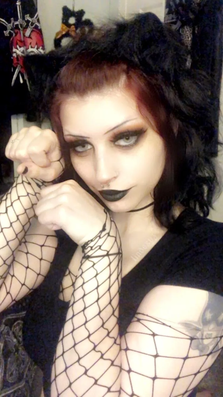 meow dx posted by lindsxy