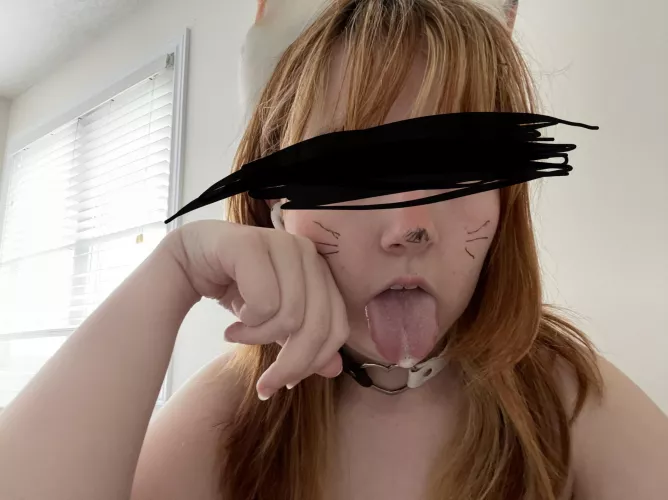 meow~ by lapetite_tori