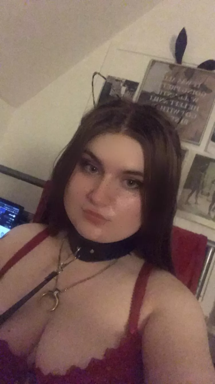 Meow posted by victoriapeaches