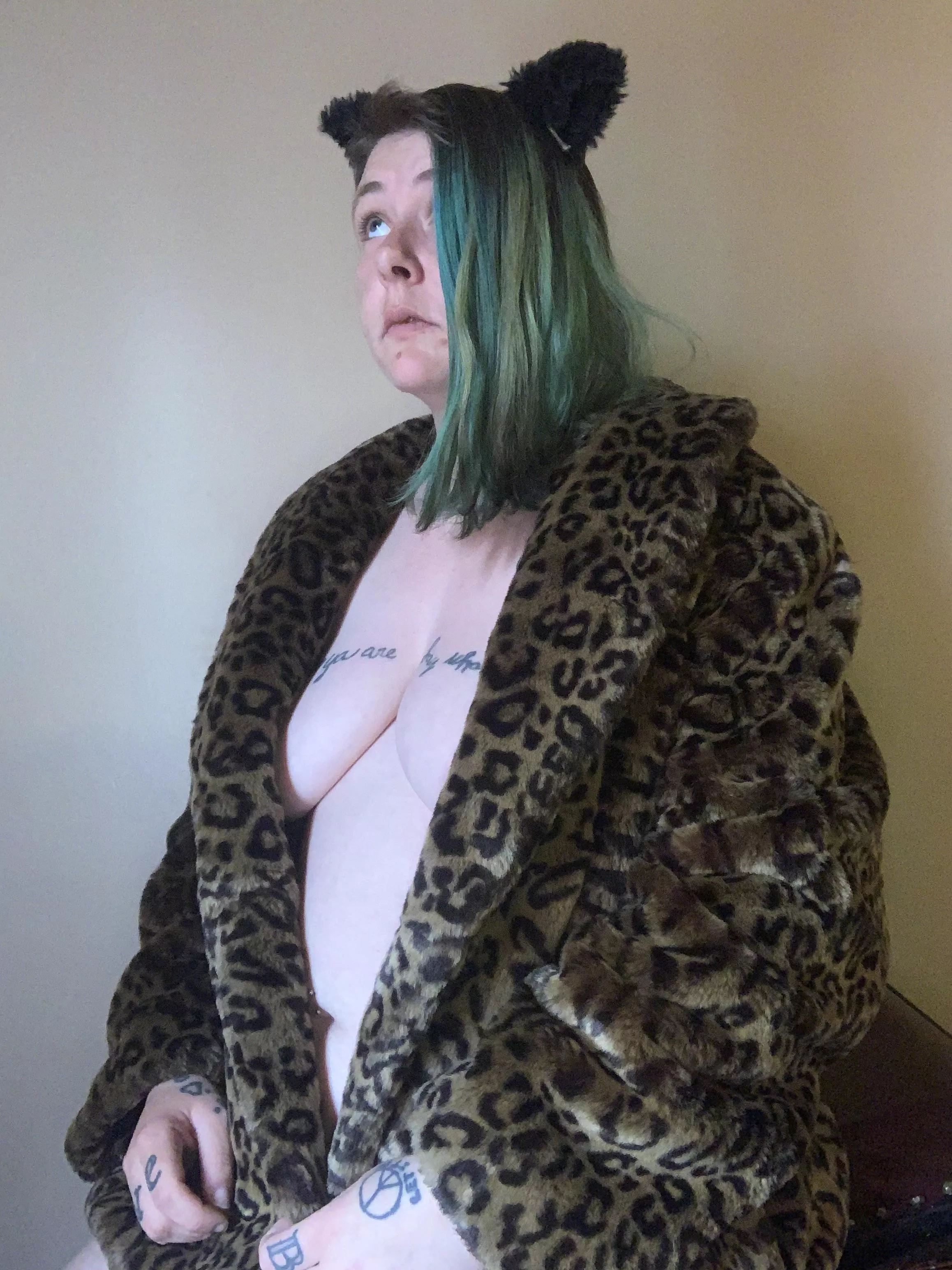 Meow I’m a cat posted by ZoeyWyldeOfficial