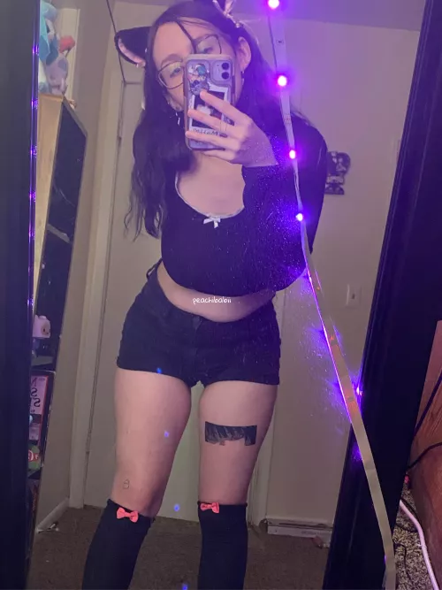 meoww :3 by peachibabii