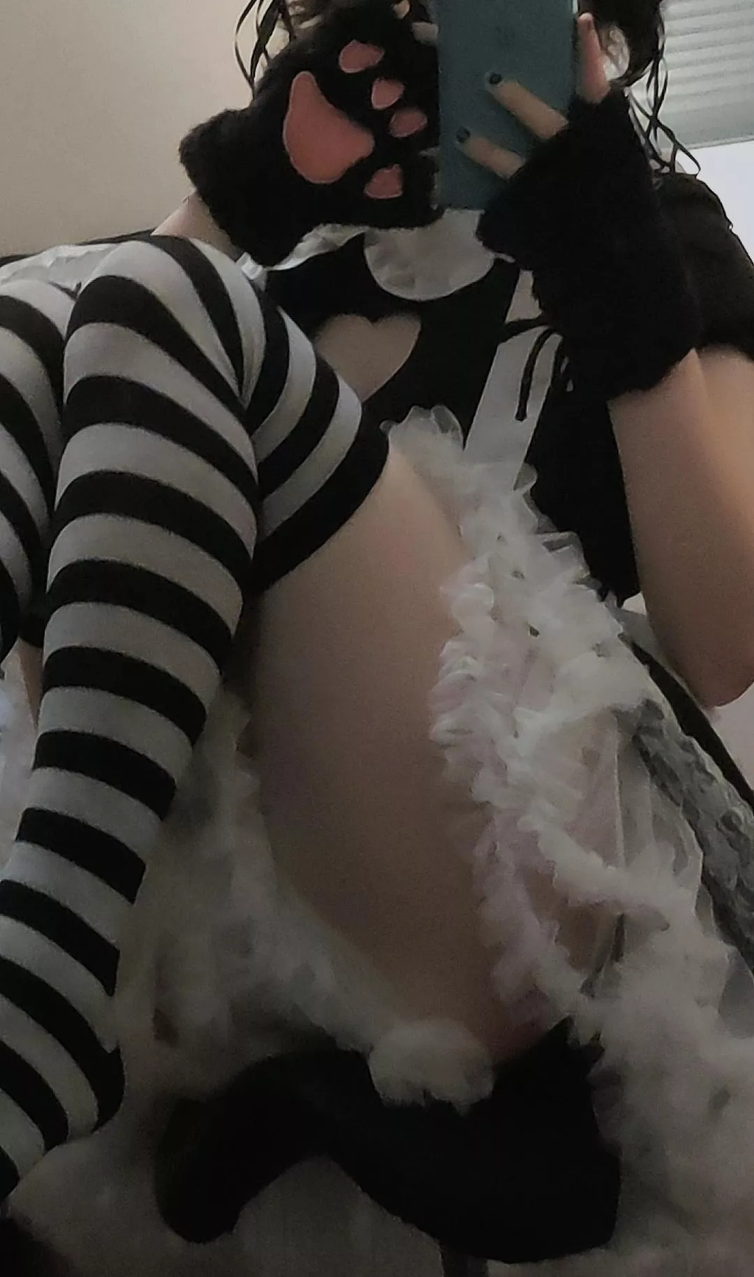 Meoww posted by Vikkypup