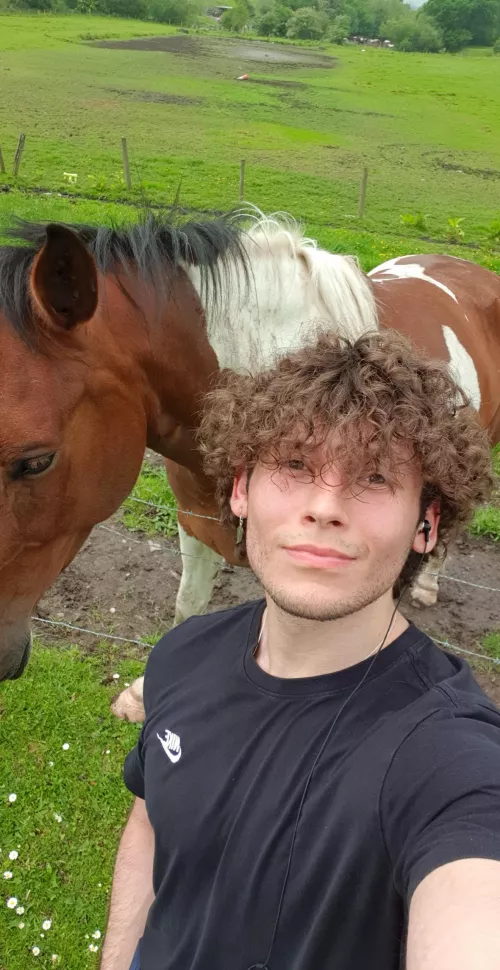 Met this beautiful animal on my run today by ADokkaebi