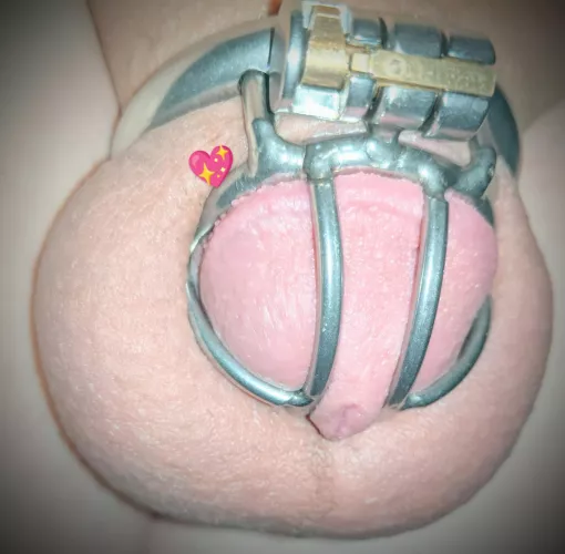 Metal cage metal plug by burningbanjo1