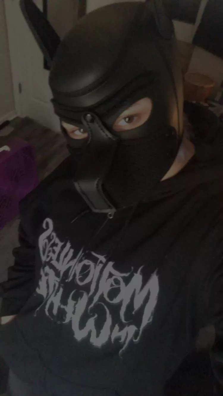 metal pup !! posted by bunniepupp