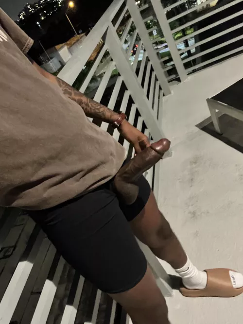 Miami Nights by ParrisjaeOF