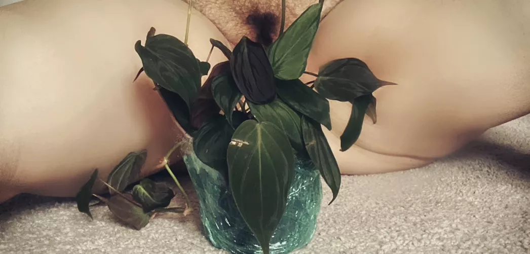 Micans are my fave by Amelia_jones2087