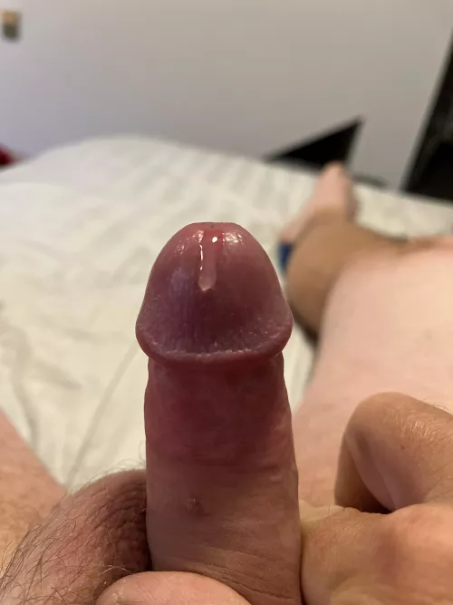 Midday drip by upearly70