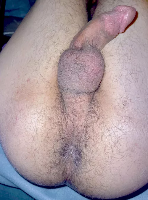 Middle eastern sub bottom at your service. Haven’t been fucked in a while. Wanna degrade me? by Educational_Carob_60