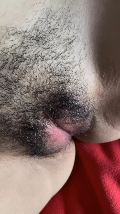 Mind if I rub it on your face? by Lane-703