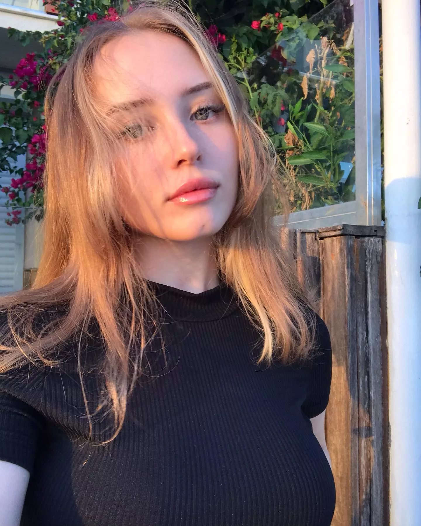 Mira Majestic posted by shbmpl