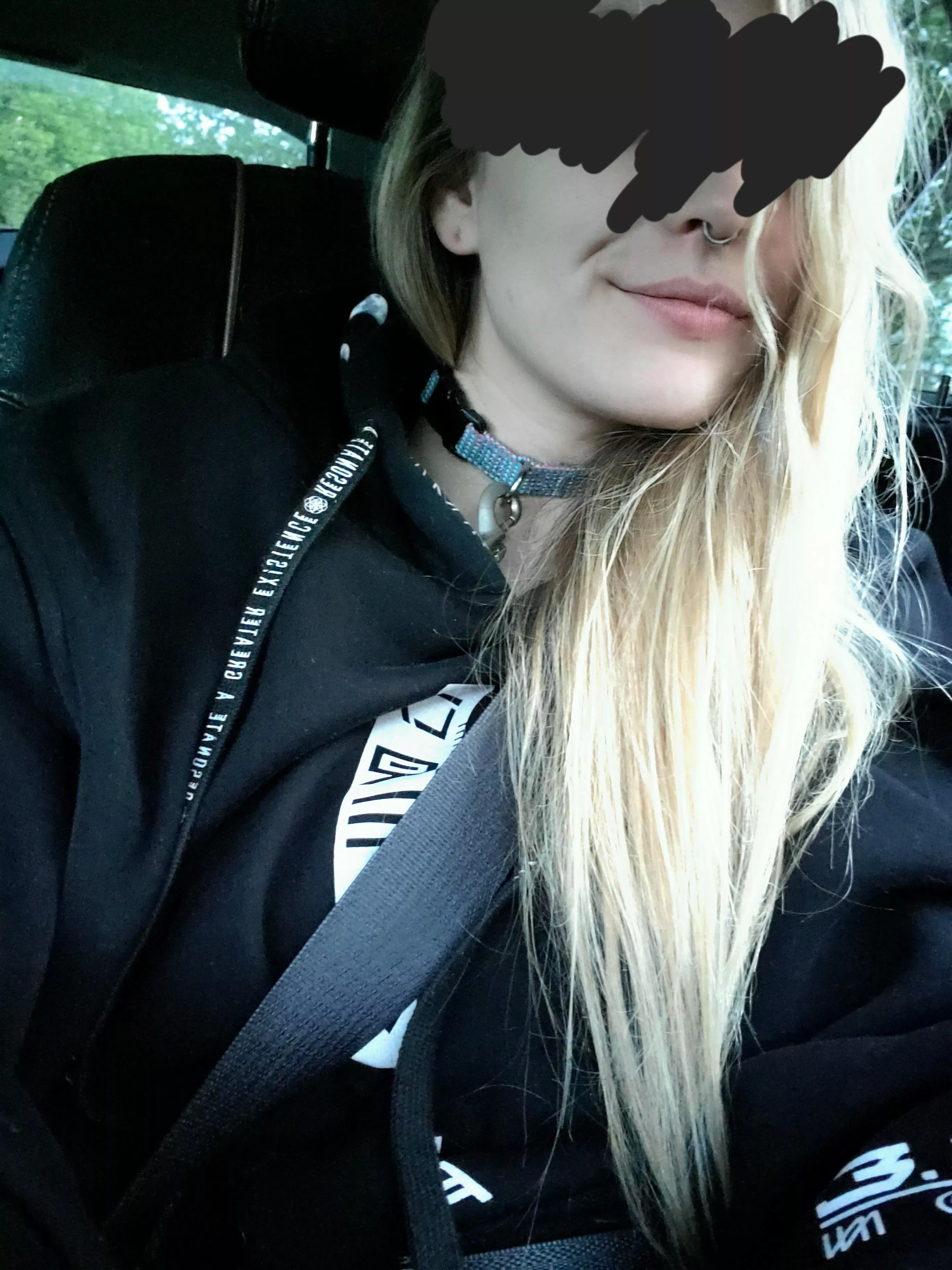 Mister picked me out our first collar together and had our first walk. 🥺 It's so pretty. posted by girface563