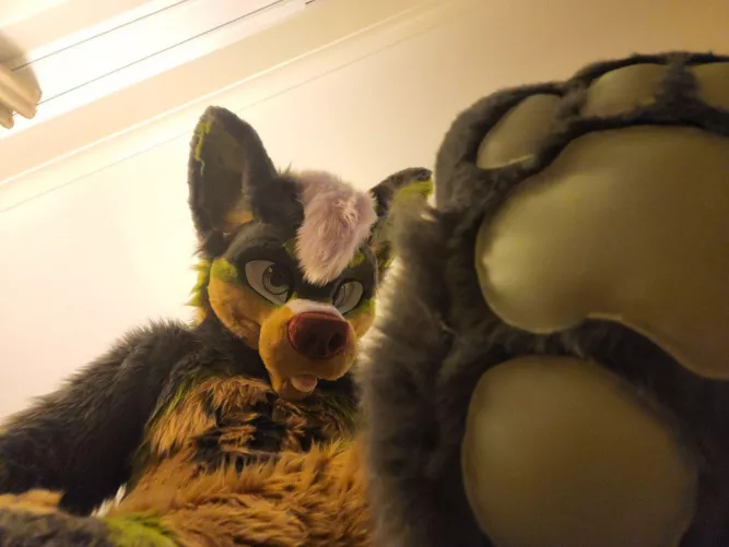 moments before the big steppies by bennkitsune