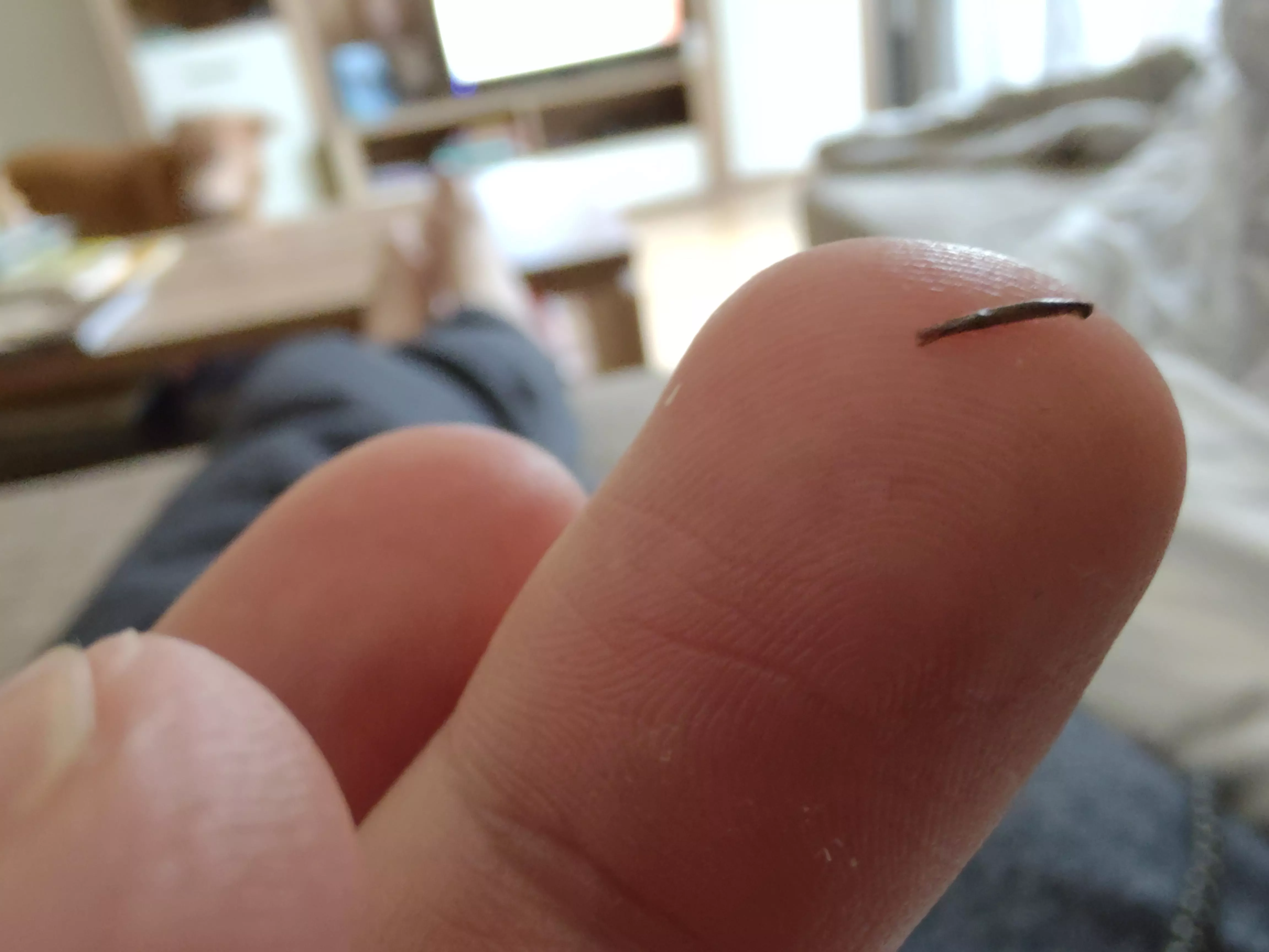 Monster hair out of my beard, that comes again every few weeks. can be removed without force. gf says it feels like a wood Splinter. posted by Fickolaus