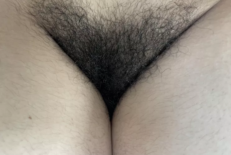 Months without shaving by NoHandle2262