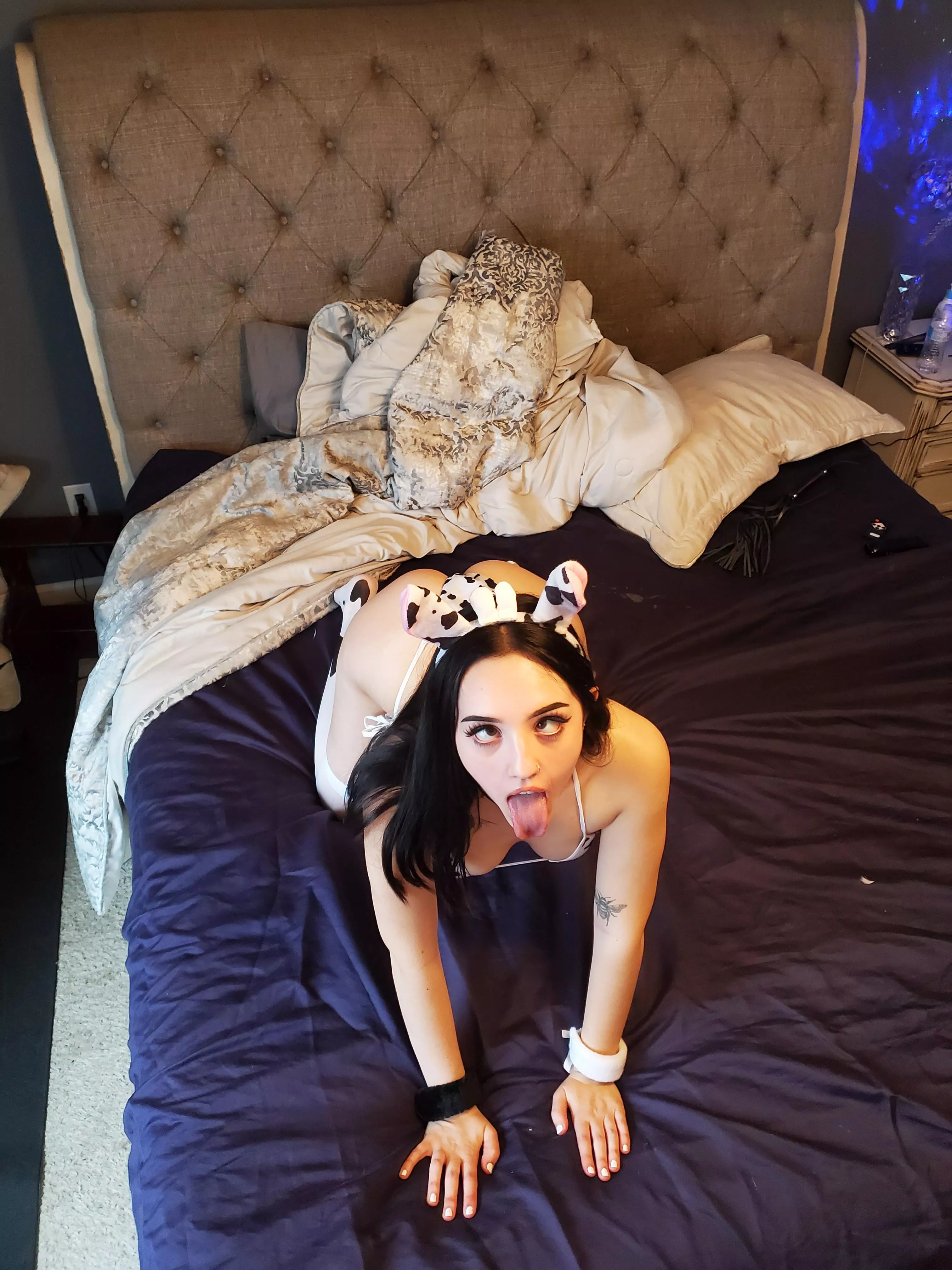 moo! posted by lovelyreii