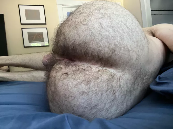 Moon by nostromo1803