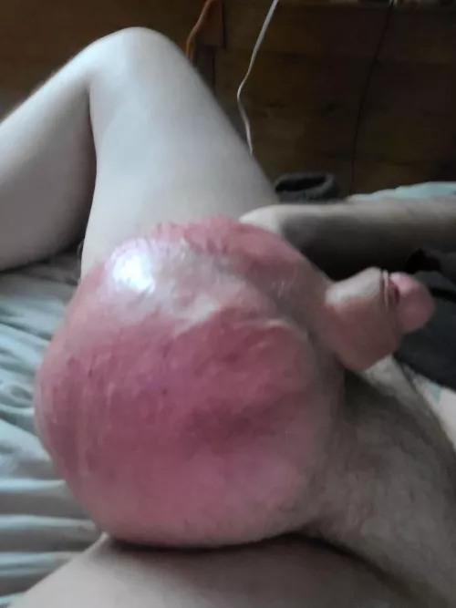 moooore by phellxion