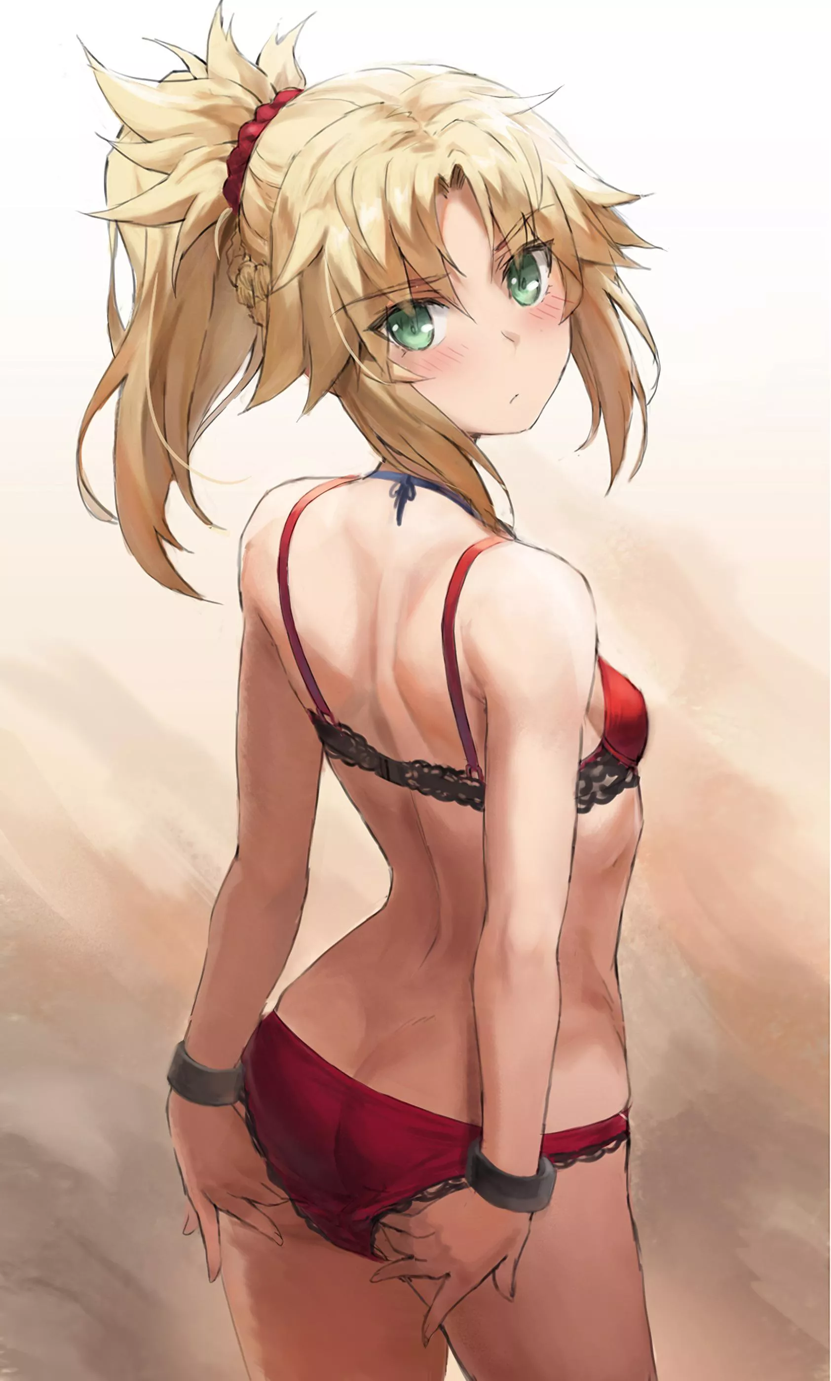 Mordred (Tonee) [Fate] posted by NoLewdsNoLife