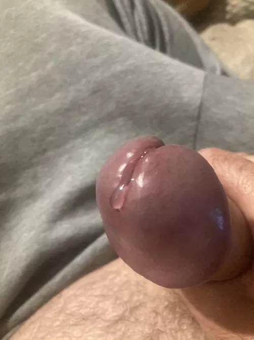 More fun than cumming. So tasty. by Aussie-Traveller7575