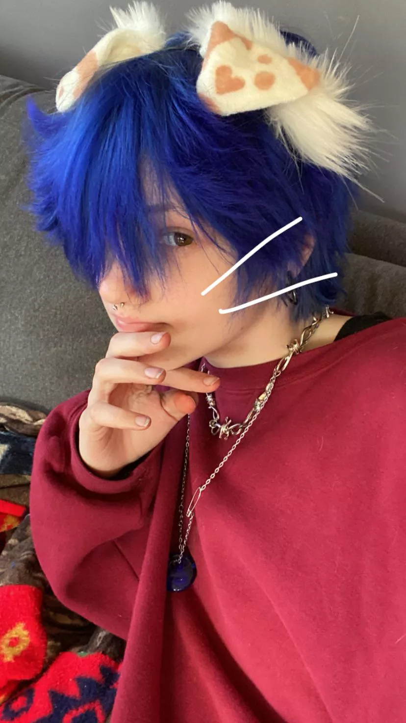 more of the blue haired puppy boy :33 posted by tthanatophobiia